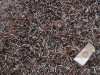 Ferrous scrap