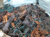 Copper scrap